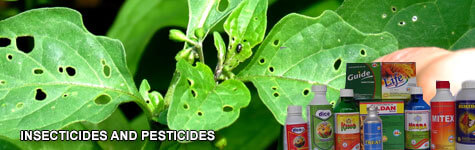 Pesticide Manufacturers,Chemical Pesticide Manufacturers,Insecticides Manufacturers in Bangalore India