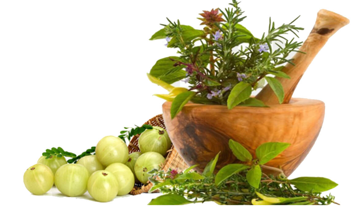 Ayurvedic & Herbal Health Supplement Manufacturer and Supplier in Bangalore