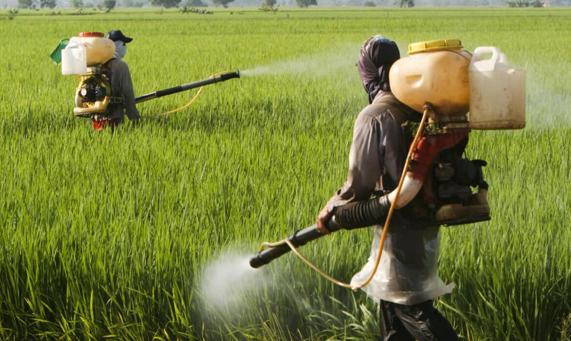 Insecticides and Pesticides Manufacturer and supplier in bangalore
