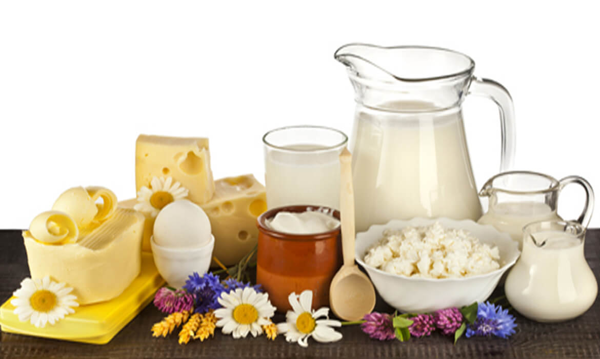 Milk & Dairy Products Manufacturer and Supplier in Bangalore