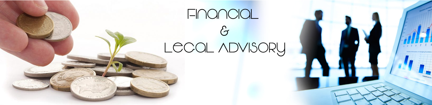 Financial and Legal Service